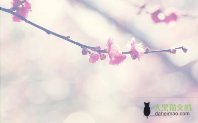 教师编制到底有多难考？