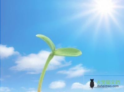 幼儿园小班英语优质课教案《八只小鸭子》