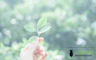 2022年三类老师有望涨工资