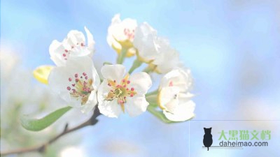 2022年最新教师师风师德心得体会四篇精选范文