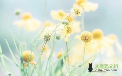 2022年关于教师辞职报告通用范文（简短）