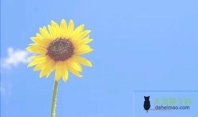 2022年最新关于教师个人思想汇报范文三篇