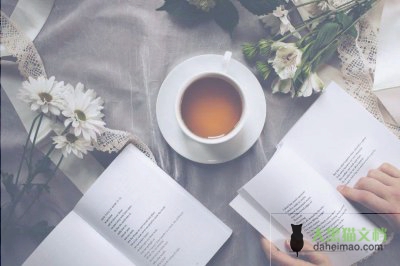 关于教师个人年度述职报告最新范文三篇