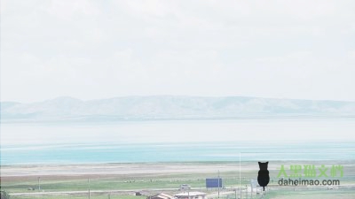 关于《圆的周长》教学设计范文三篇