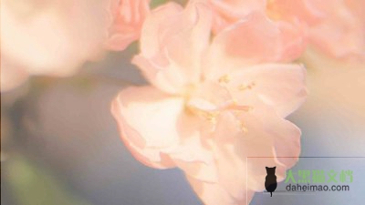 2022最新青年教师个人成长总结范文三篇