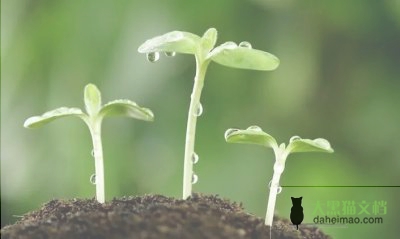 10个孩子的最好管教方法