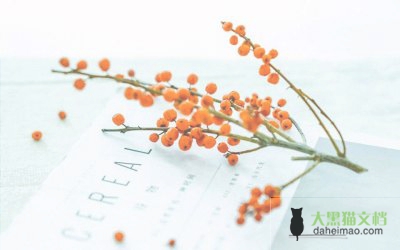 小学教师学习《教师职业道德规范》心得体会四篇范文