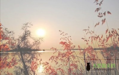 教师职业前景分析:3重利好,3个局限,有两类人不适合这个行业
