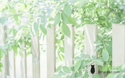 三篇关于大学生个人自我鉴定范文2022
