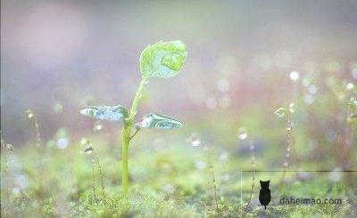 考了教师资格证就能当老师吗？