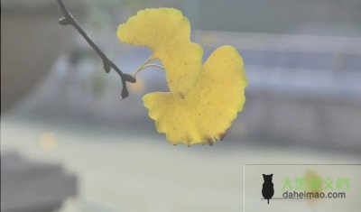 2022年关于骨干教师培训总结范文