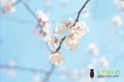 2022年关于冬奥会主题作文五篇优秀范文