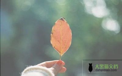 关于大学生求职面试自我介绍范文模板精选