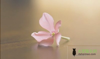 最新关于高中语文教师教学计划范文（精选6篇）