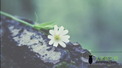 2021年关于教师个人年度考核总结报告范文