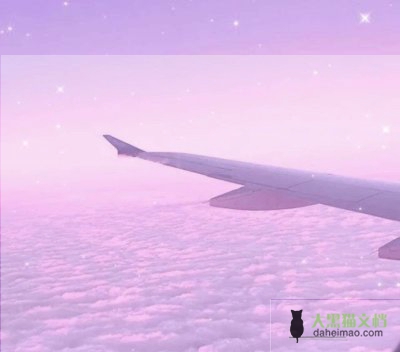 实训的自我鉴定模板5篇