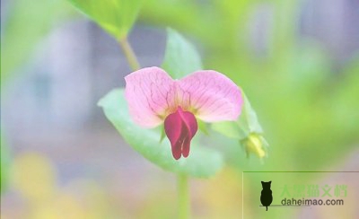 汇编版初三班主任工作总结范文5篇