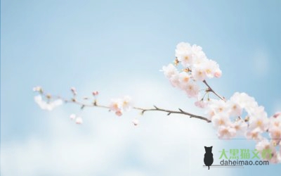 德育工作述职报告5篇