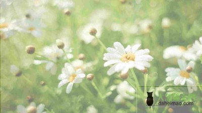 教师退休申请书最新范文5篇