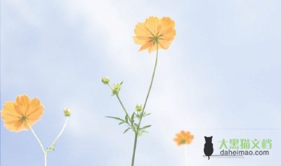 我的心我的梦小学作文8篇