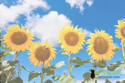 2024教育总结模板7篇