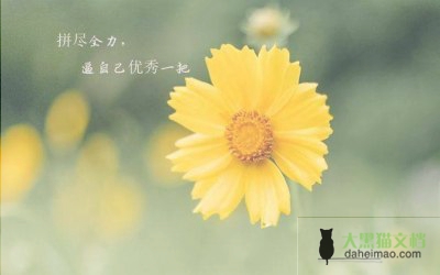 教师年度考核个人总结汇编范文5篇