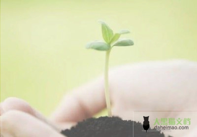 2022小学教师年度考核个人总结5篇