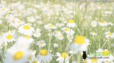 2024年度幼儿园教师考核个人总结最新5篇