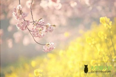 教师教学工作总结精选范文4篇
