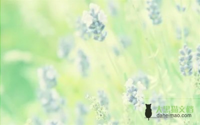 2022年教师师德考核自我评价通用范文
