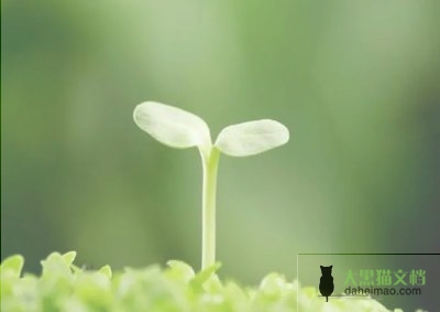 骨干教师培训心得体会最新实用范文三篇