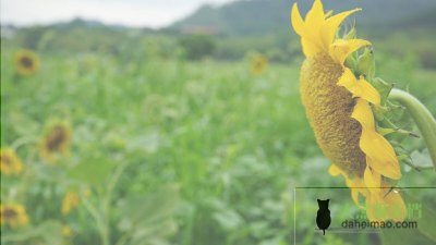 国家安全教育日幼儿园活动总结精编范文5篇
