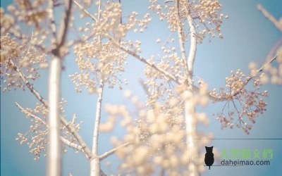 化验员年终总结个人总结5篇
