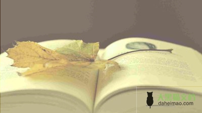 饭店促销活动方案范文6篇