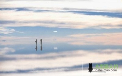 毕业自我鉴定参考6篇