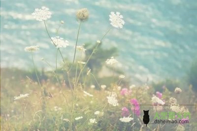 质检部月工作计划7篇