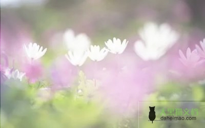 最新版高中班主任述职报告范文5篇