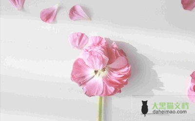 法制宣传观后感8篇