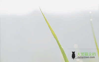 档案里的自我鉴定范文5篇