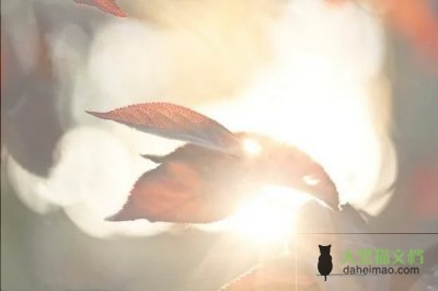 最新版科学教学工作总结范文5篇