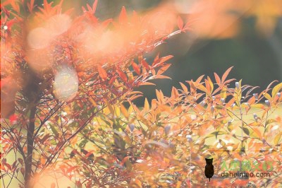 最新版体育教师述职报告范文5篇