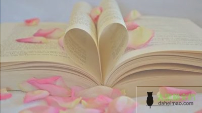 禁毒作文800字作文观后感8篇