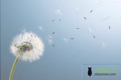 调查课申请书通用8篇