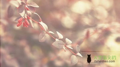 2022年教师师德考核自我评价精选范文