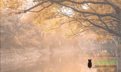 送年货活动方案策划5篇