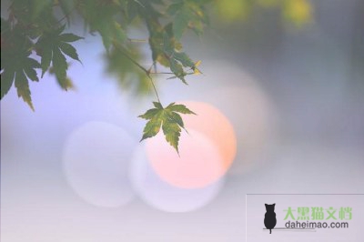 小学数学个人教学工作计划8篇