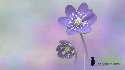 教师节活动心得体会6篇