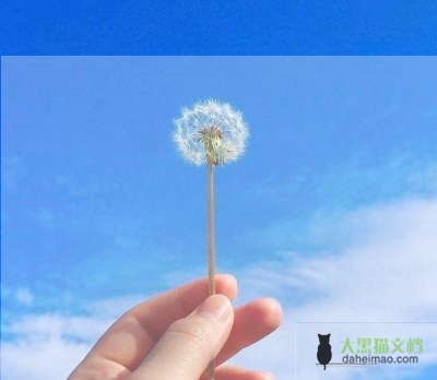 辞职职申请书模板7篇