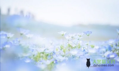 送年货活动方案策划优质5篇