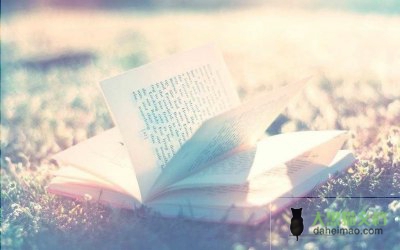 幼儿教师编个人总结优秀7篇
